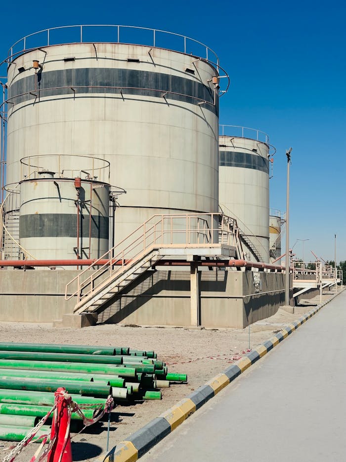 Pexels Photo 35566202